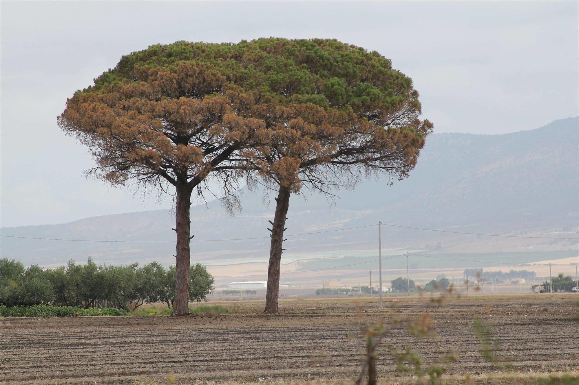 Agriturismo Silos Agri Villa San Severo Bagian luar foto